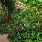 Comment maintenir votre passe-temps de jardinage tout au long de l’hiver