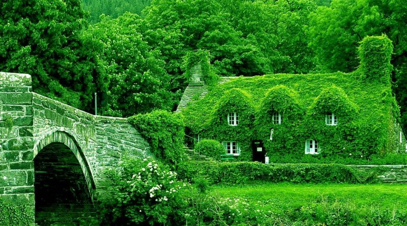 maison-verte