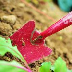 Conseils pour éviter les douleurs de dos tout en jardinant
